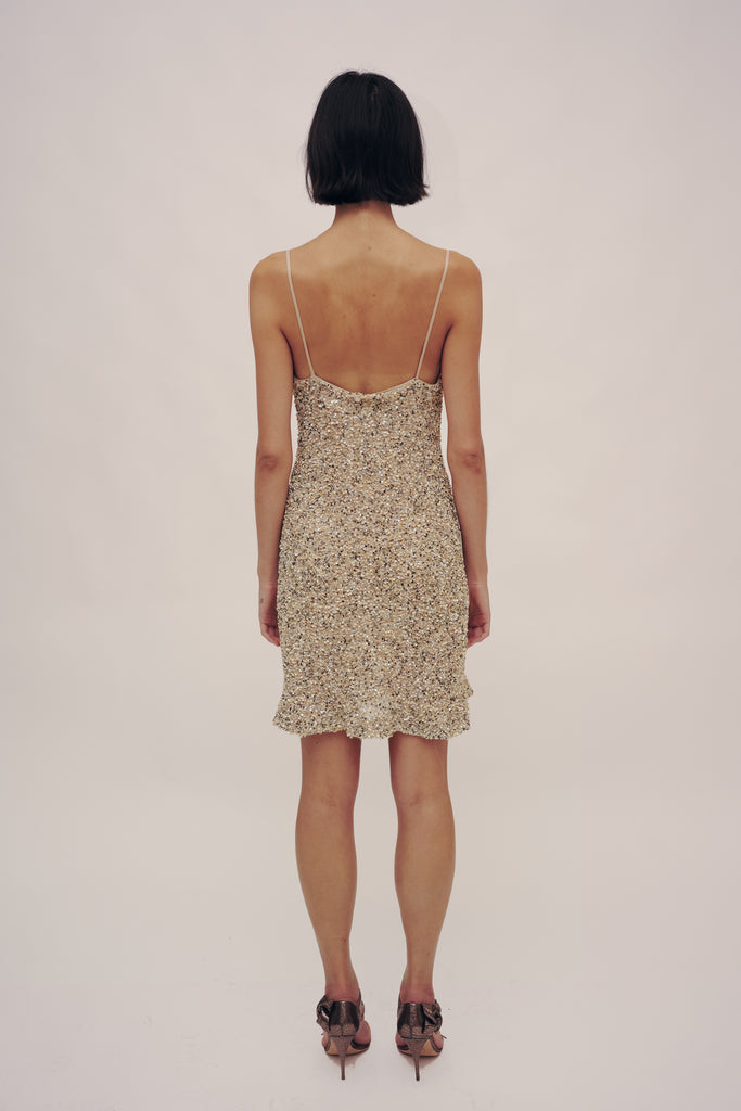 Sandy Sequin Bias Dress